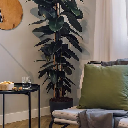 Apartment Soconusco - 1 Bedroom And Balcony In Bairro Azul Lisbon
